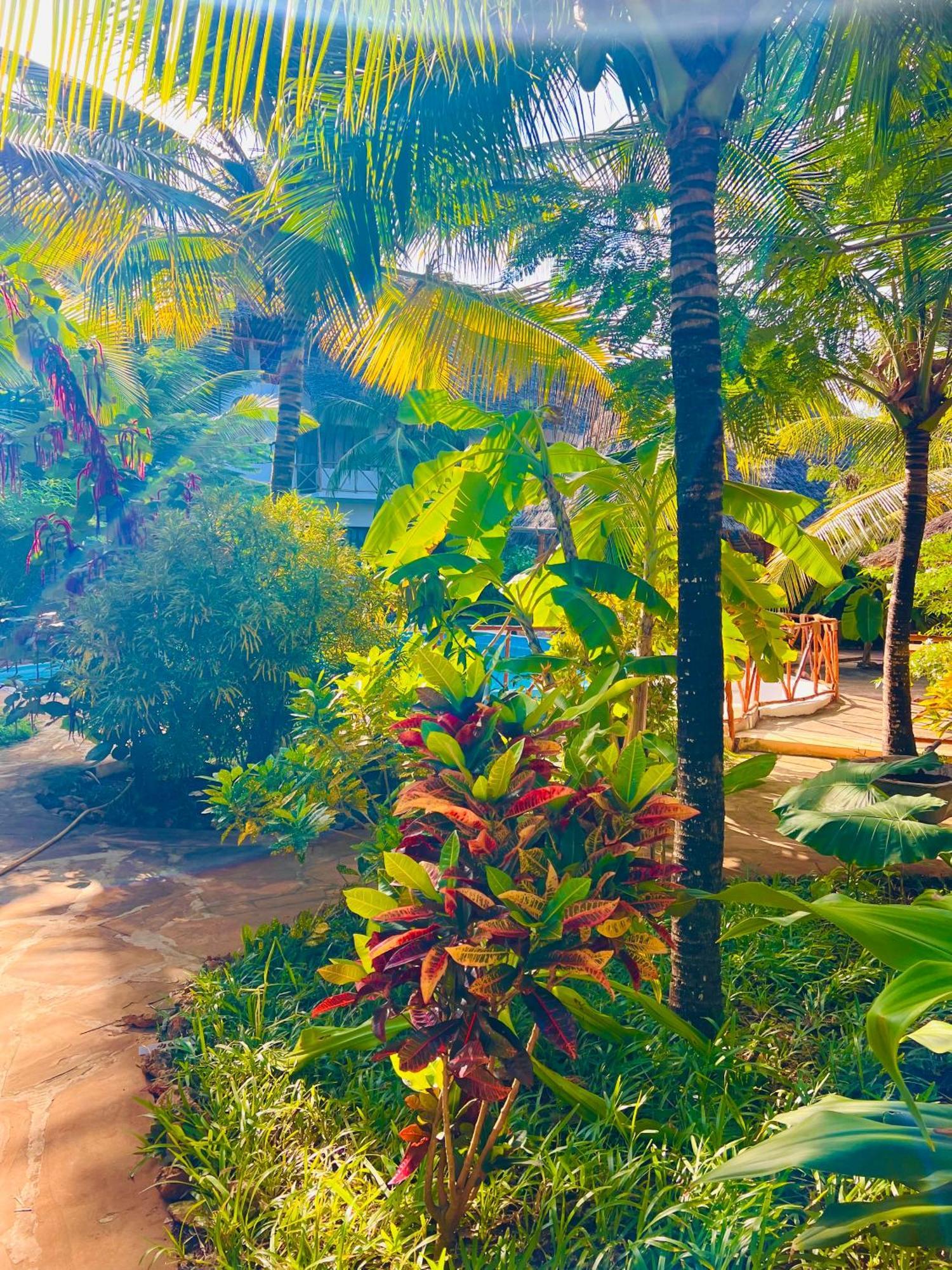 Tropical Nungwi Exterior foto