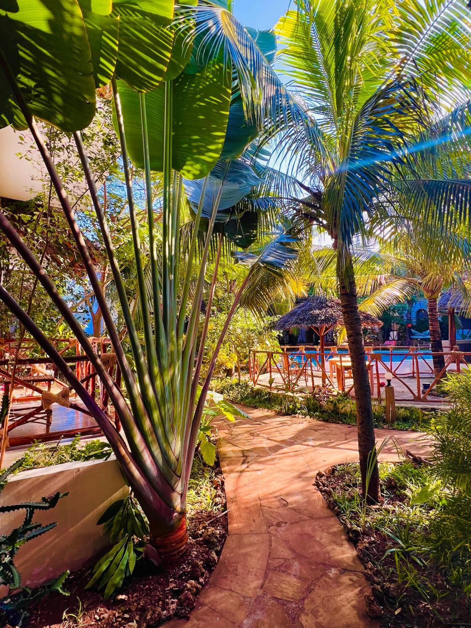 Tropical Nungwi Exterior foto