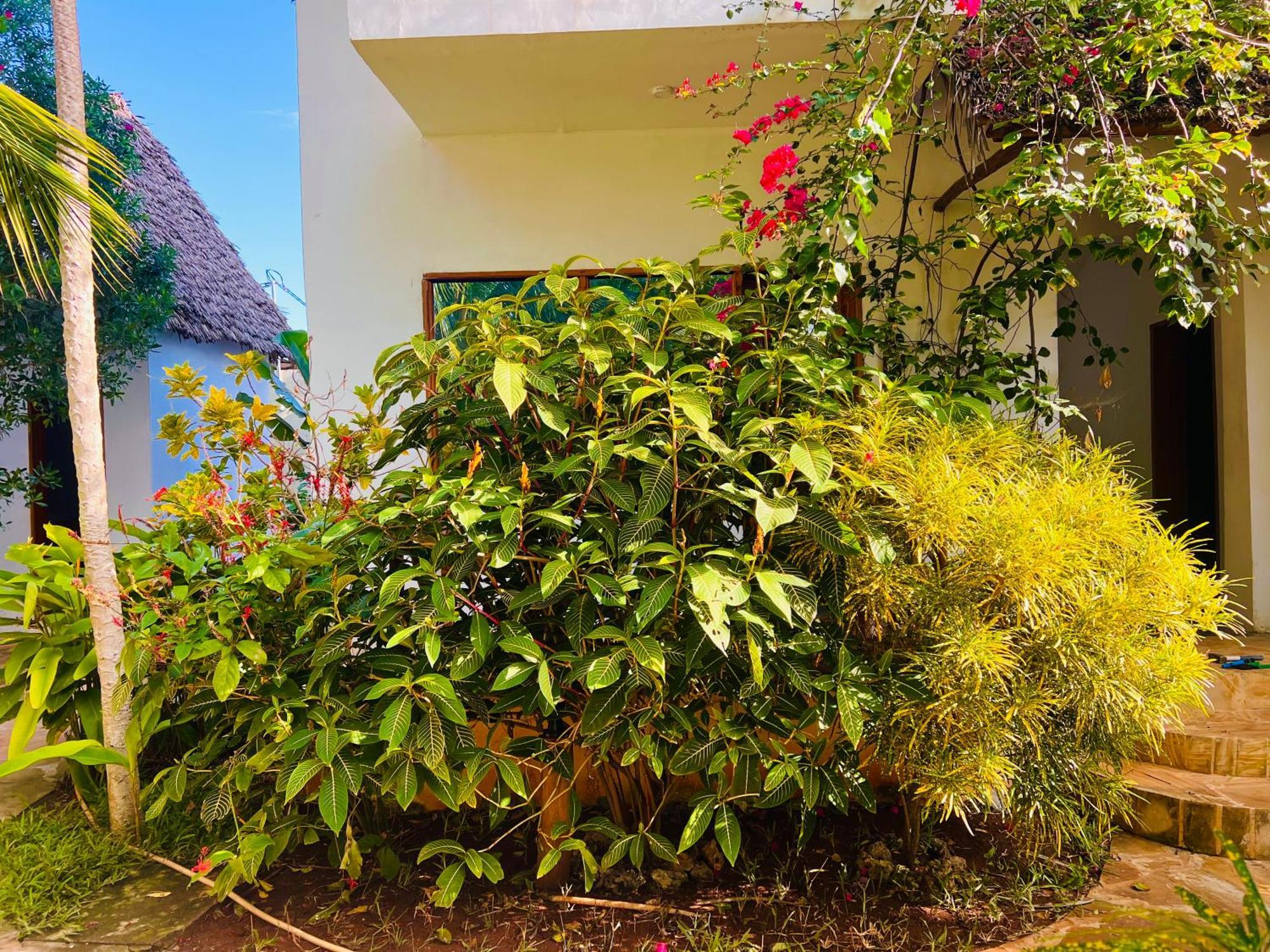 Tropical Nungwi Exterior foto