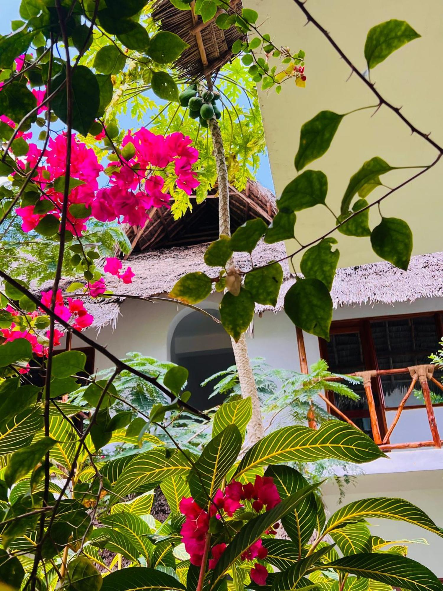 Tropical Nungwi Exterior foto