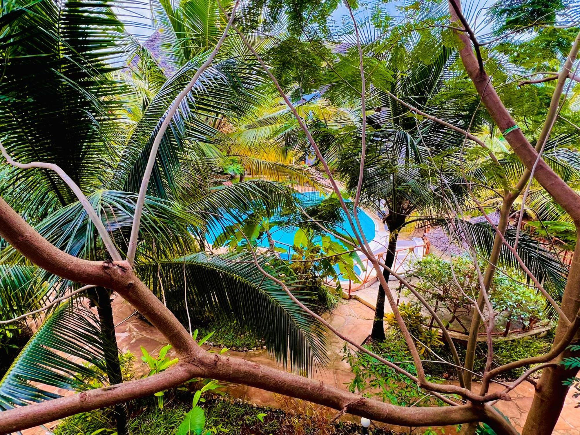 Tropical Nungwi Exterior foto