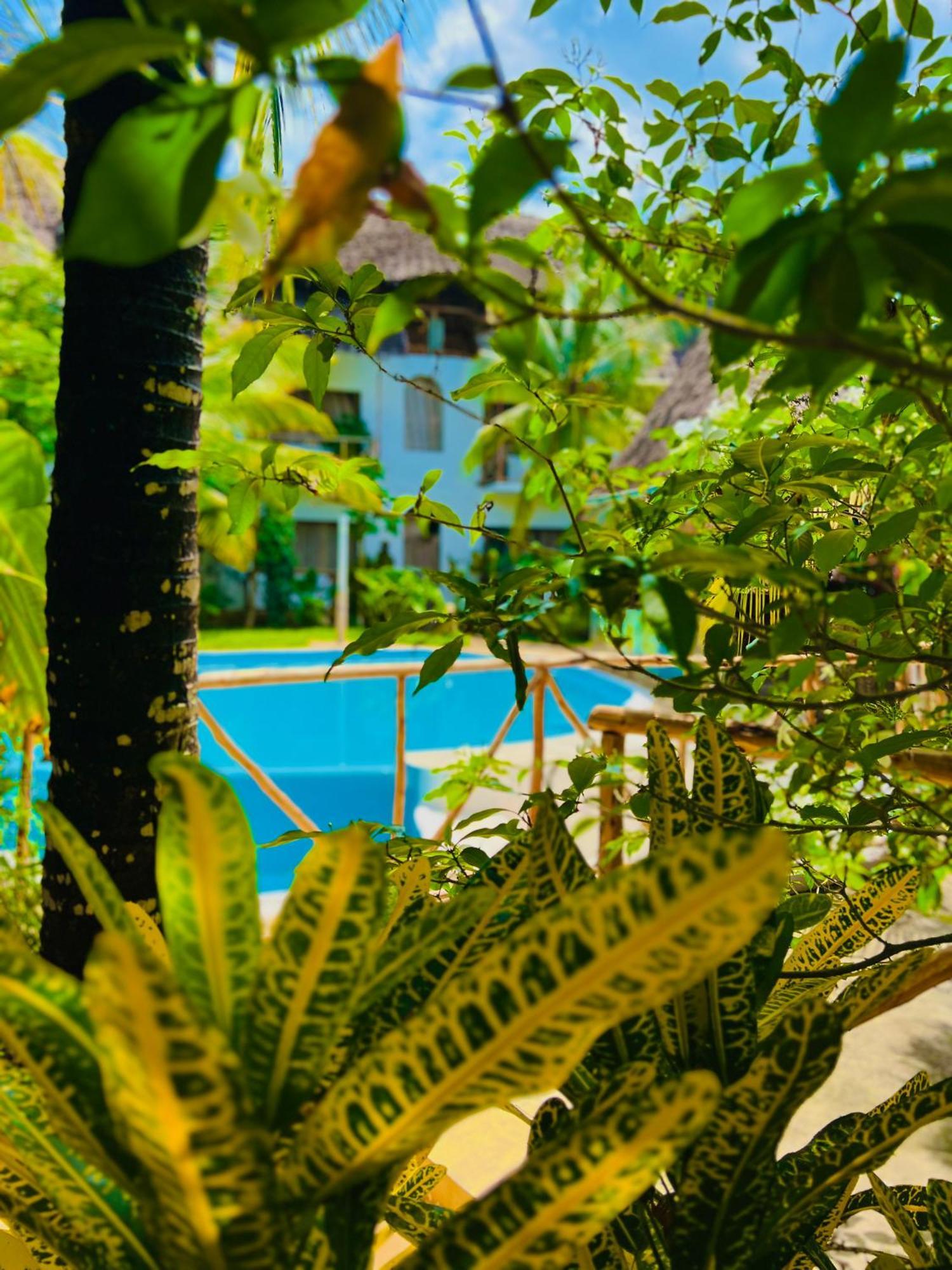 Tropical Nungwi Exterior foto