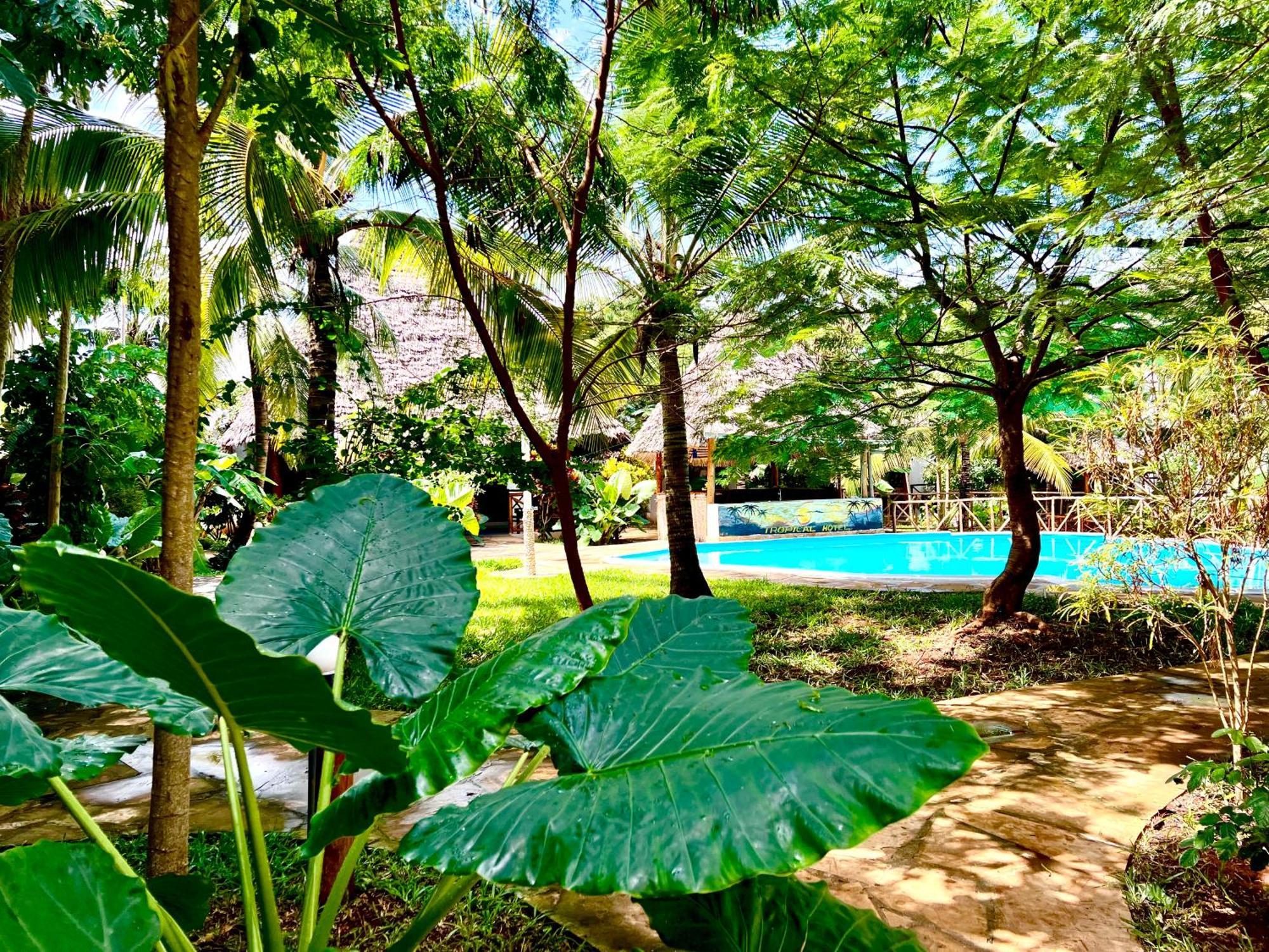 Tropical Nungwi Exterior foto